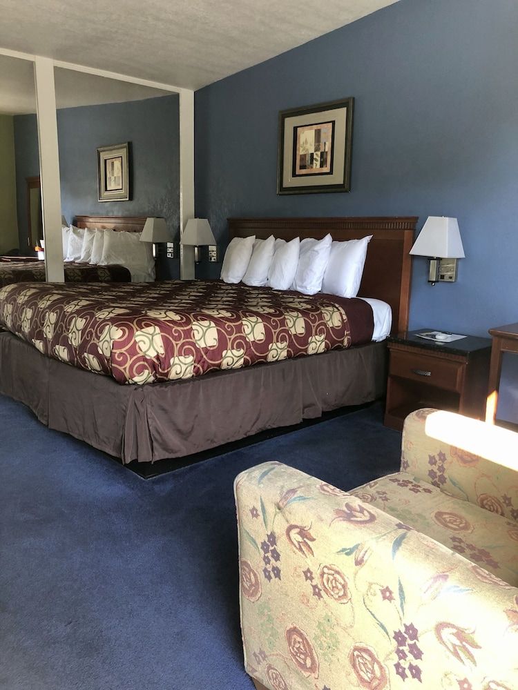 Encore Motel Near Marina Del Rey, Culver City & Venice Standard Single Room 2