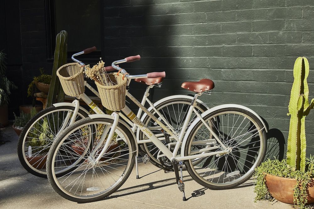 Hotel June Malibu Premier Bungalow King (ADA) 9