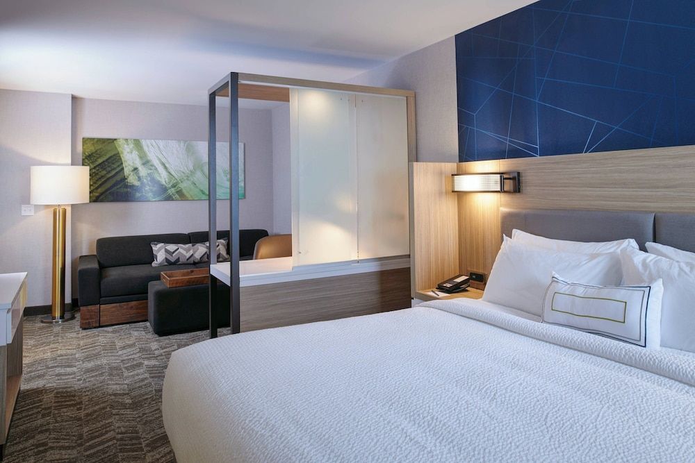 Suite, 1 King Bed, City View (Mobility Accessible, Roll-In Shower)