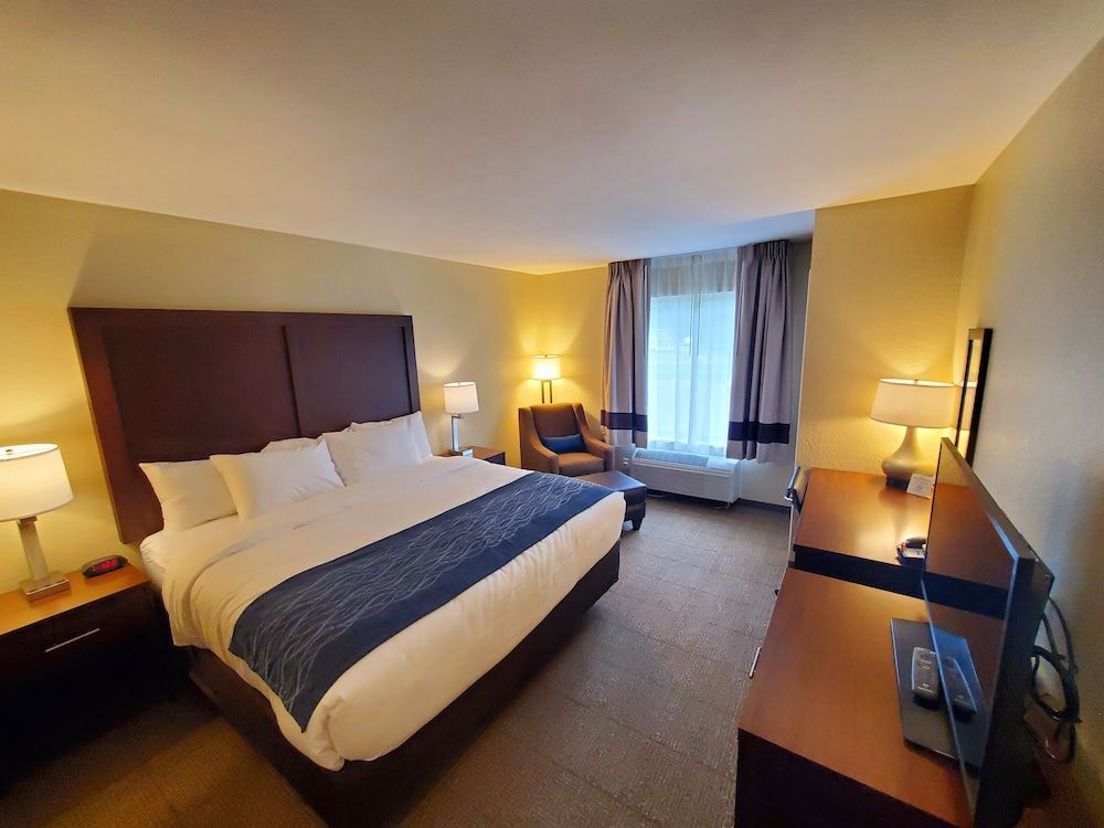 Standard Room, 1 King Bed, Non Smoking
