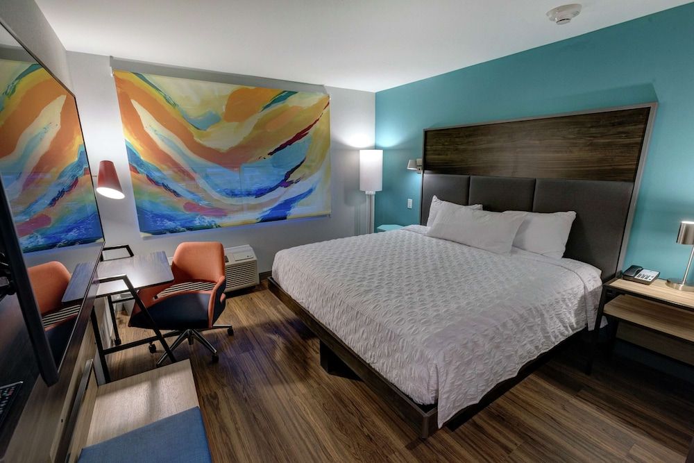 Room, 1 King Bed