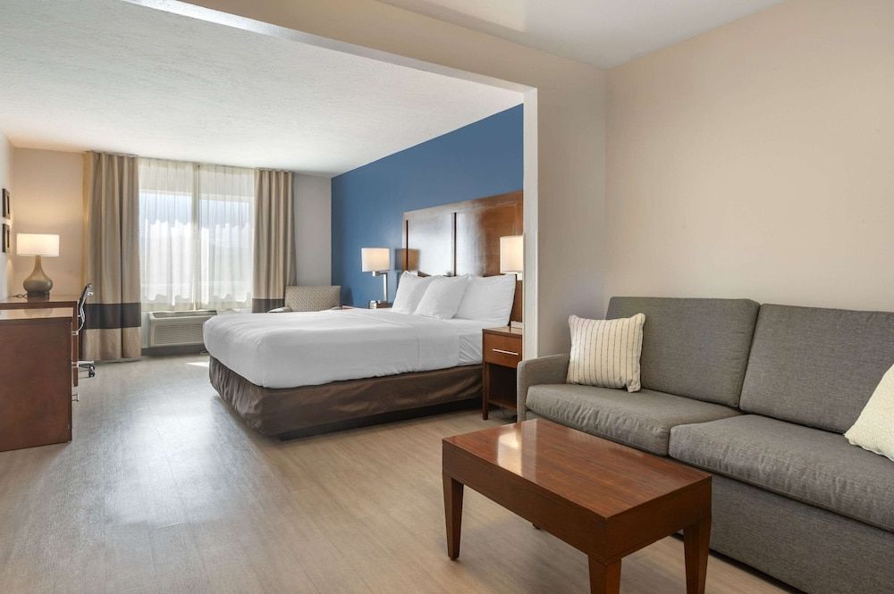 Suite, 1 King Bed with Sofa bed, Non Smoking (Pet Friendly)