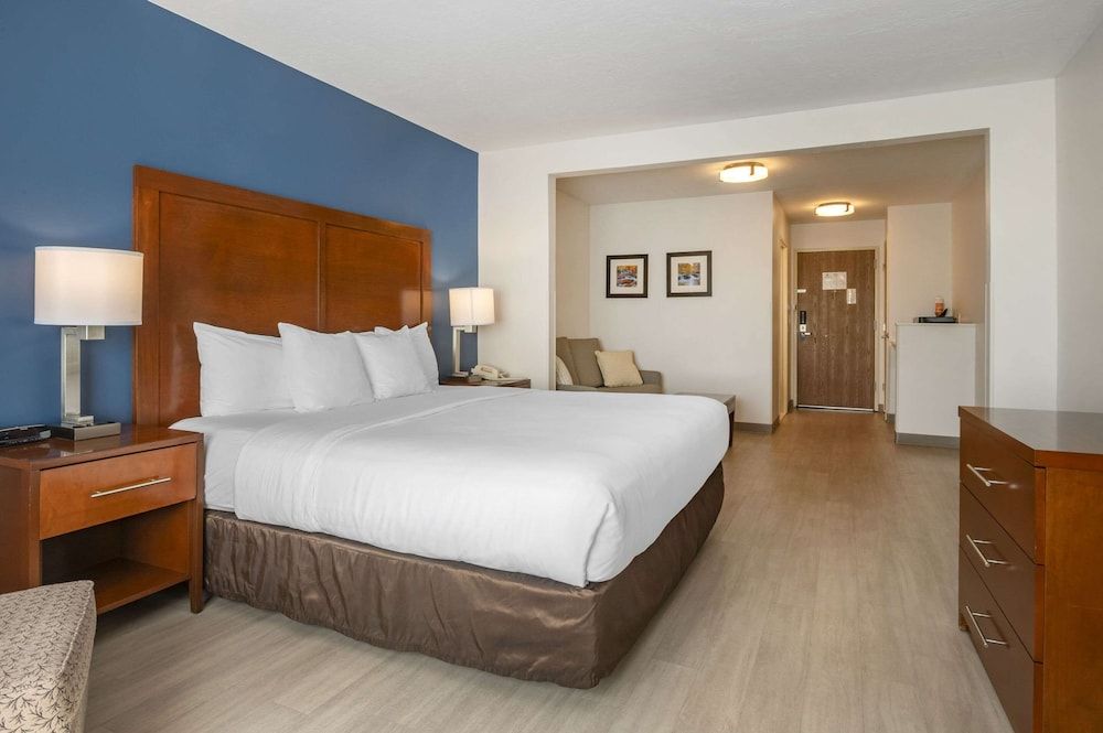 Suite, 1 King Bed with Sofa bed, Non Smoking (Pet Friendly)