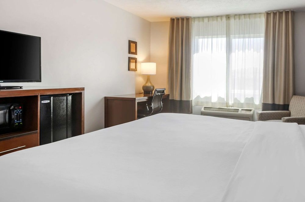 Room, 1 King Bed, Non Smoking (Pet Friendly)