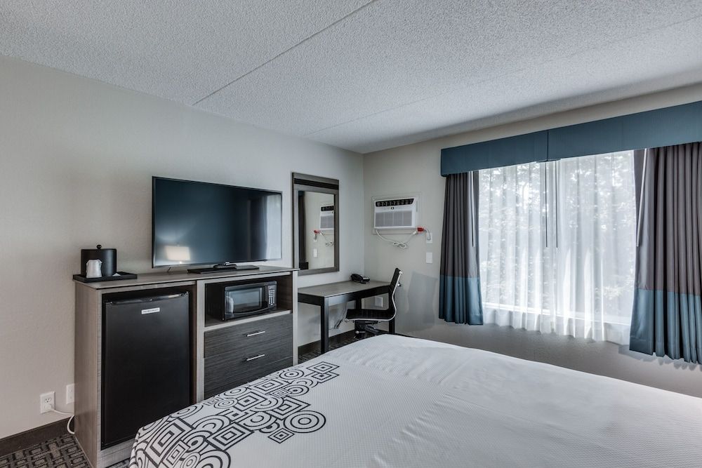 Room, 1 Queen Bed, Non Smoking