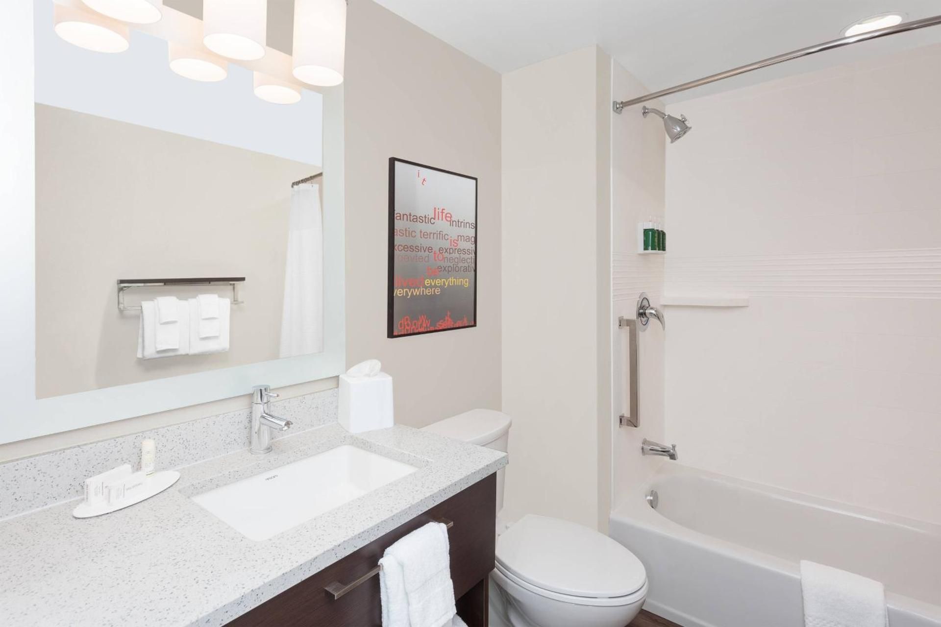 One-Bedroom Suite with Queen and Sofa Bed - Hearing Accessible