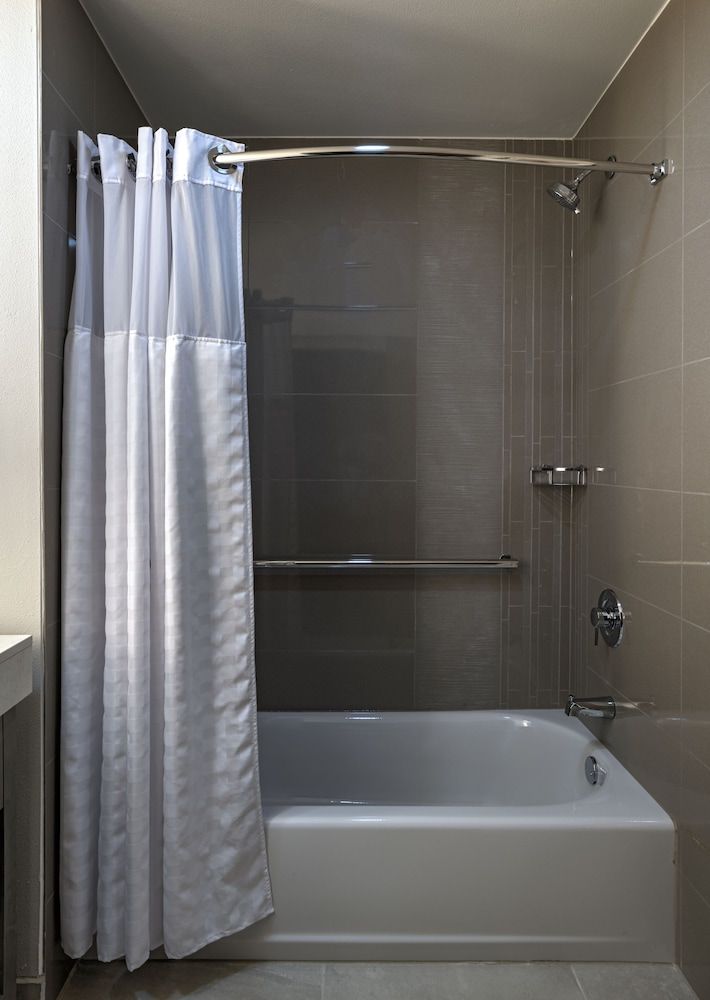 Studio Suite, 1 King Bed with Sofa bed, Accessible, Bathtub