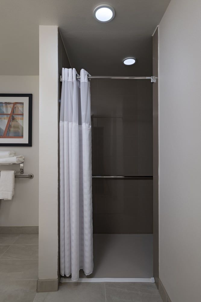 Room, 1 King Bed, Accessible (Shower)