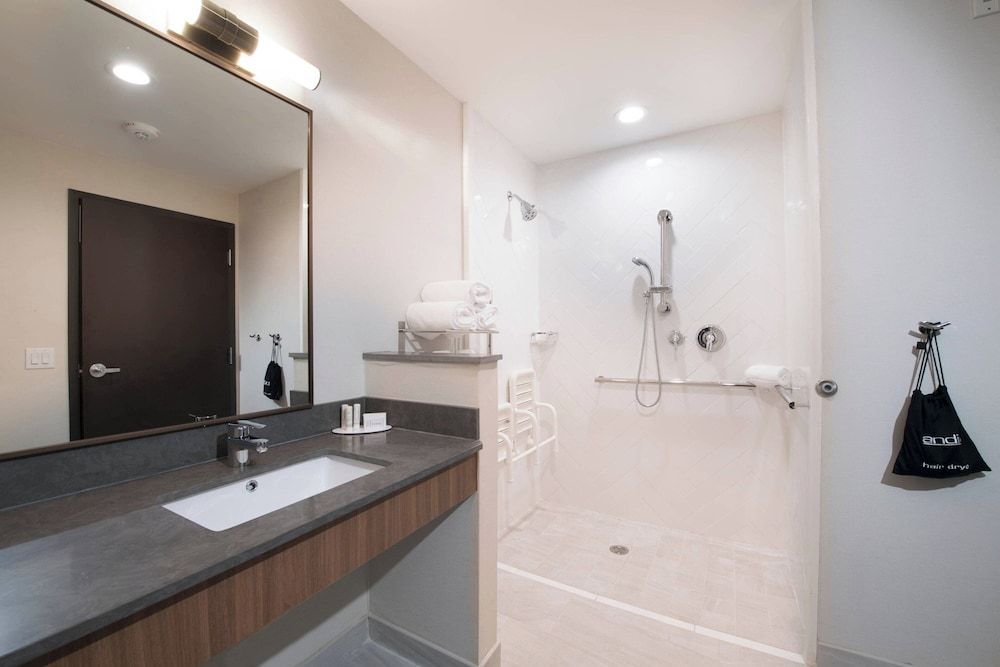 Room, 1 King Bed (Mobility Accessible, Roll-In Shower)