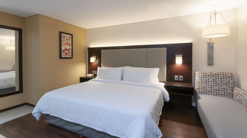 Holiday Inn Express Mexico Basilica by IHG Standard Room, 1 King Bed 6