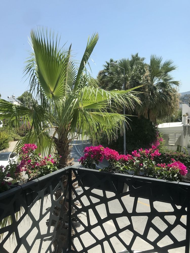 Sea Palm Otel Yalikavak Deluxe Room, 1 Bedroom, City View 8