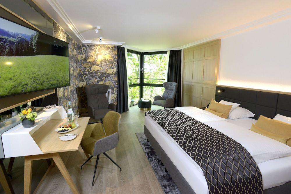 Favorite Parkhotel Superior Plus Rheinblick Double Room 4