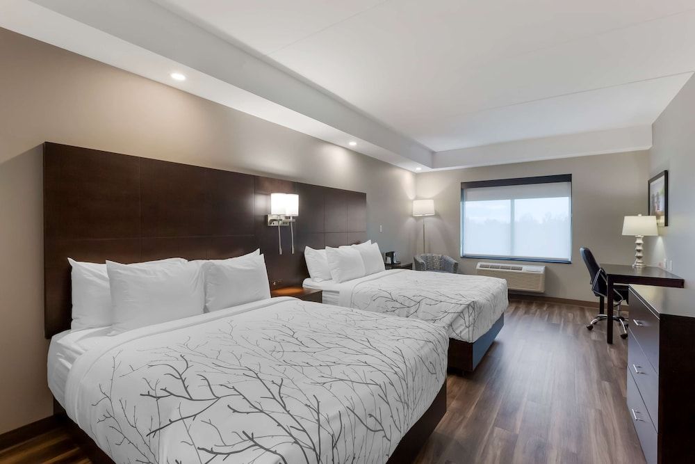 Standard Room, 2 Queen Beds, Non Smoking, Refrigerator & Microwave