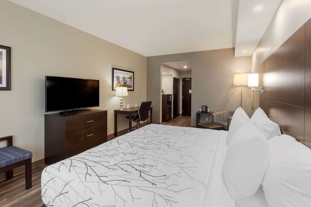 Standard Room, 1 King Bed, Accessible, Refrigerator & Microwave