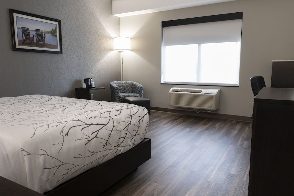 Standard Room, 1 King Bed, Non Smoking, Refrigerator & Microwave (Larger Room)