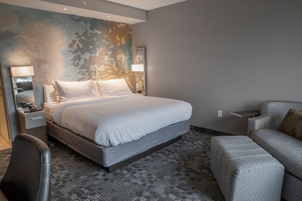 Room, 1 King Bed with Sofa bed (Hearing Accessible)