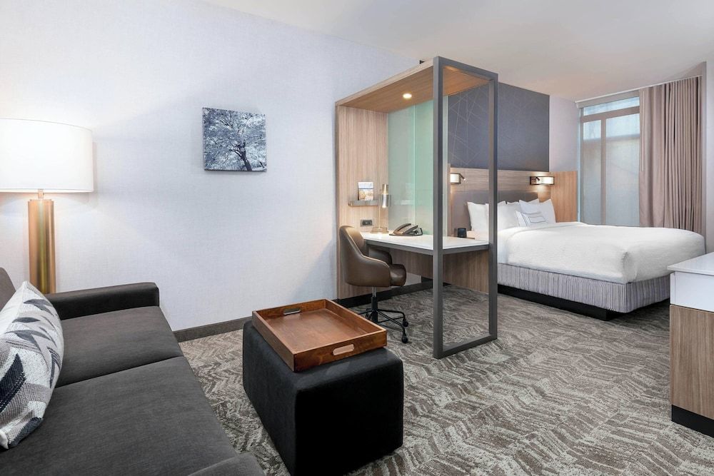Suite, 1 King Bed with Sofa bed, Non Smoking (Hearing Accessible)
