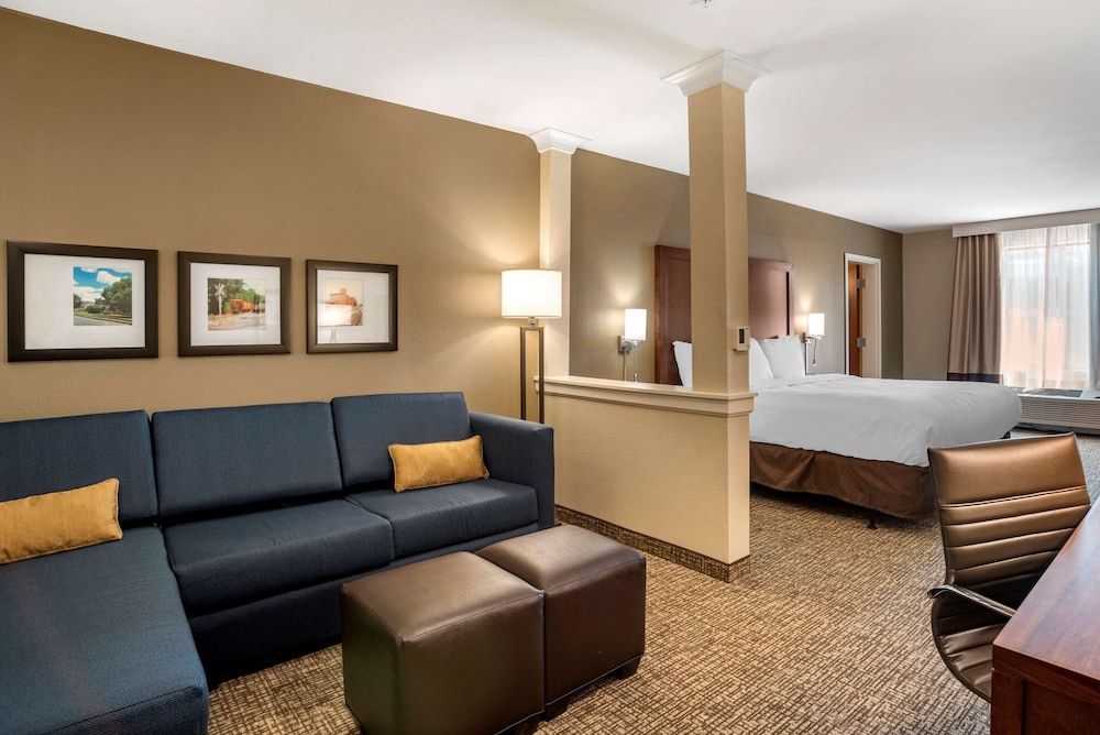 Comfort Inn & Suites Harrisonburg Suite, 1 King Bed with Sofa bed, Accessible, Non Smoking 3