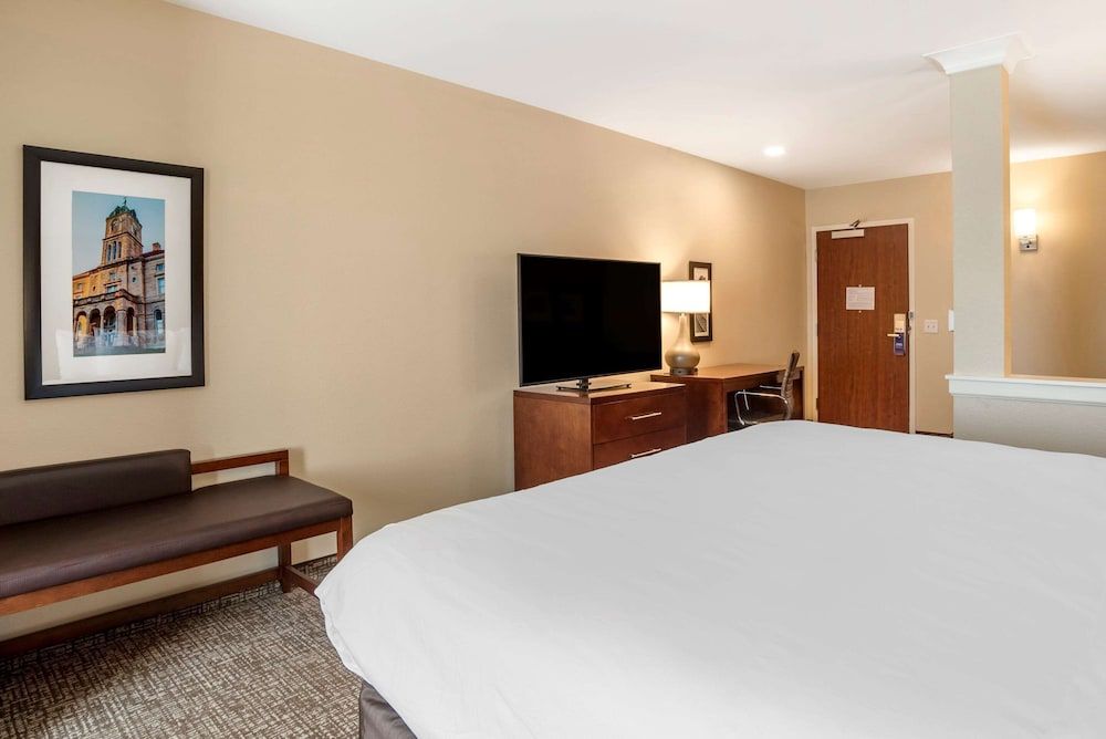 Comfort Inn & Suites Harrisonburg Suite, 1 King Bed with Sofa bed, Accessible, Non Smoking 2