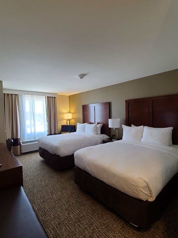 Comfort Inn & Suites Harrisonburg Standard Room, 2 Queen Beds, Non Smoking