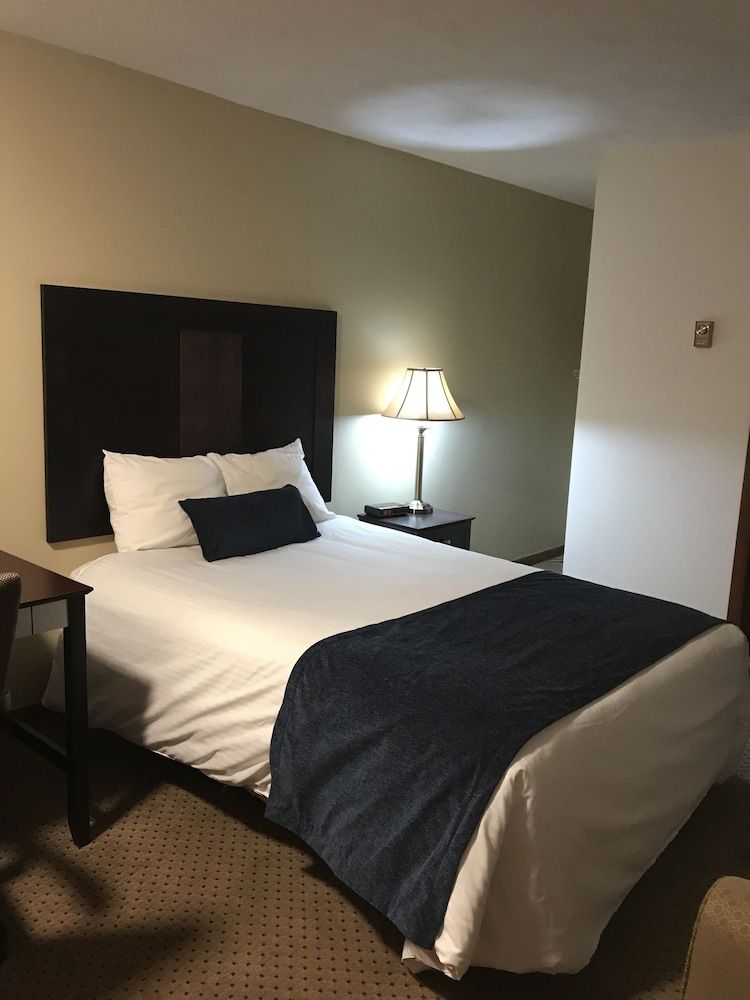 Standard Room, 1 Double Bed, Refrigerator & Microwave