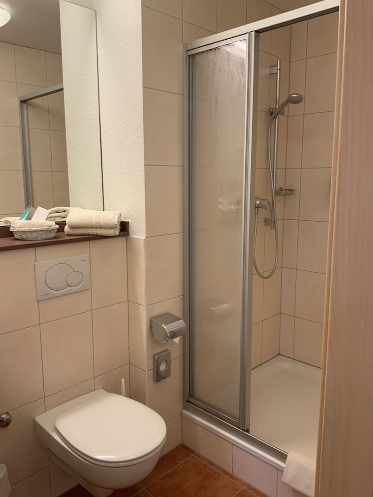 Altstadthotel Arte Standard Room (Theme Room) 3