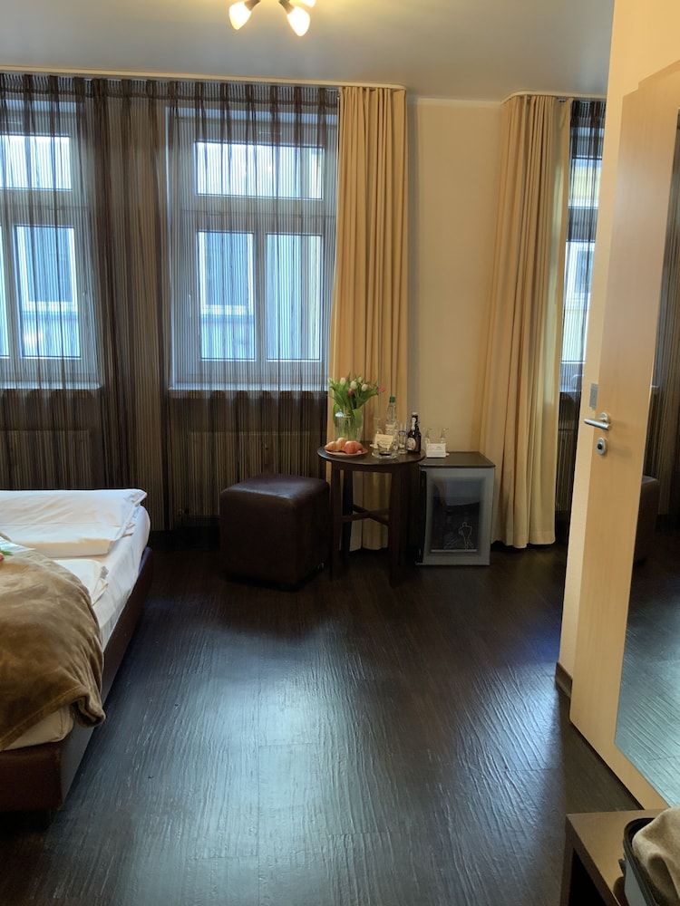 Altstadthotel Arte Standard Room (Theme Room) 8