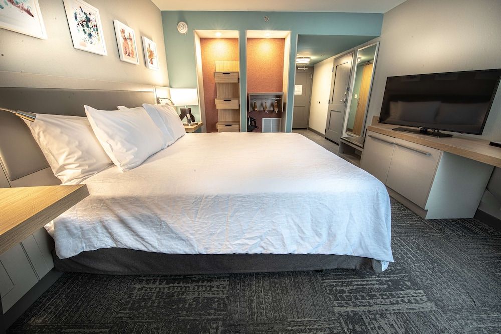 Room, 1 King Bed, Accessible (Roll-In Shower, Hearing & Mobility)