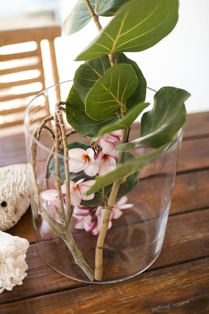 Pauline's Apartments Aruba Standard, 1 Bedroom Apartment 12