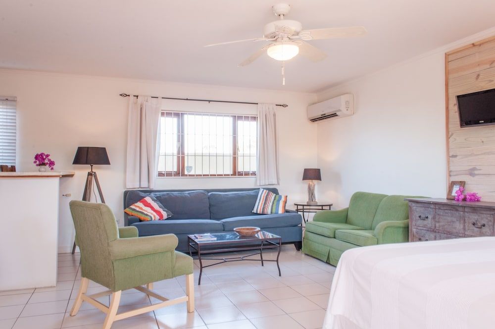 Pauline's Apartments Aruba Standard Studio 8
