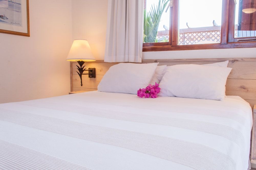 Pauline's Apartments Aruba Standard Studio 3