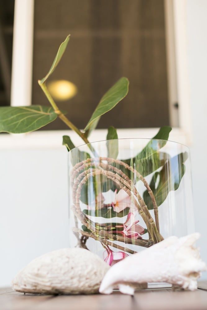 Pauline's Apartments Aruba Standard, 1 Bedroom Apartment 11