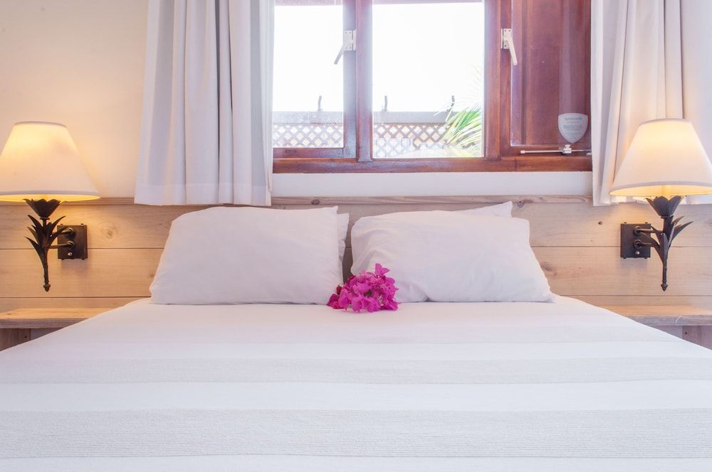 Pauline's Apartments Aruba Standard Studio 2