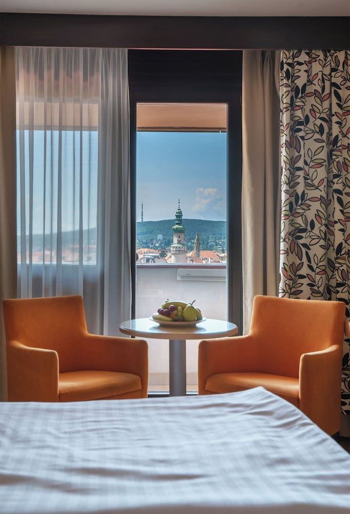 Hotel Sopron Deluxe Double Room, Balcony, City View 6