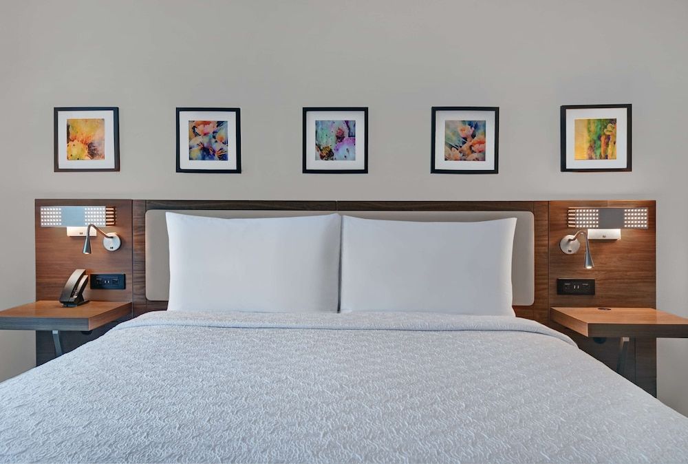 Hilton Garden Inn Houston Medical Center, TX Room, 1 King Bed 7