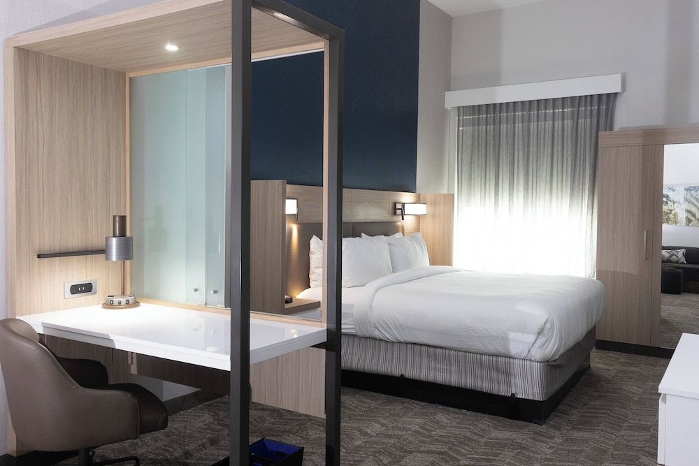 Studio Suite, 1 King Bed with Sofa bed (Hearing Accessible)