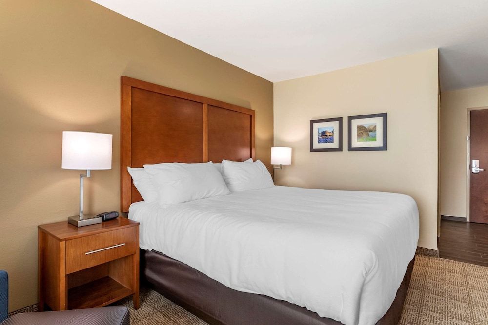 Standard Room, 1 King Bed, Non Smoking