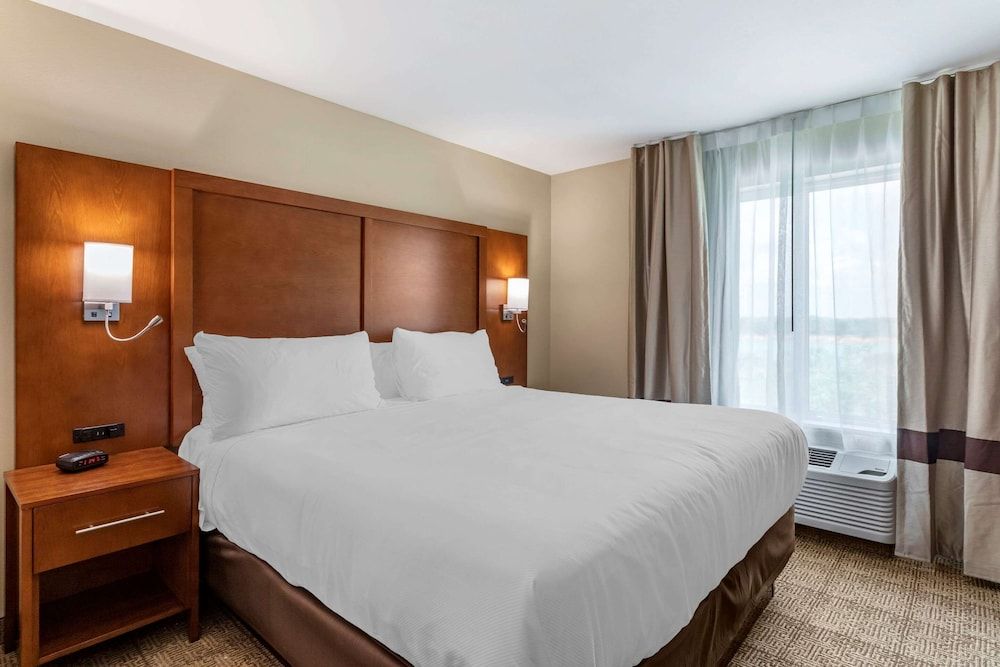 Suite, 1 King Bed with Sofa bed, Non Smoking