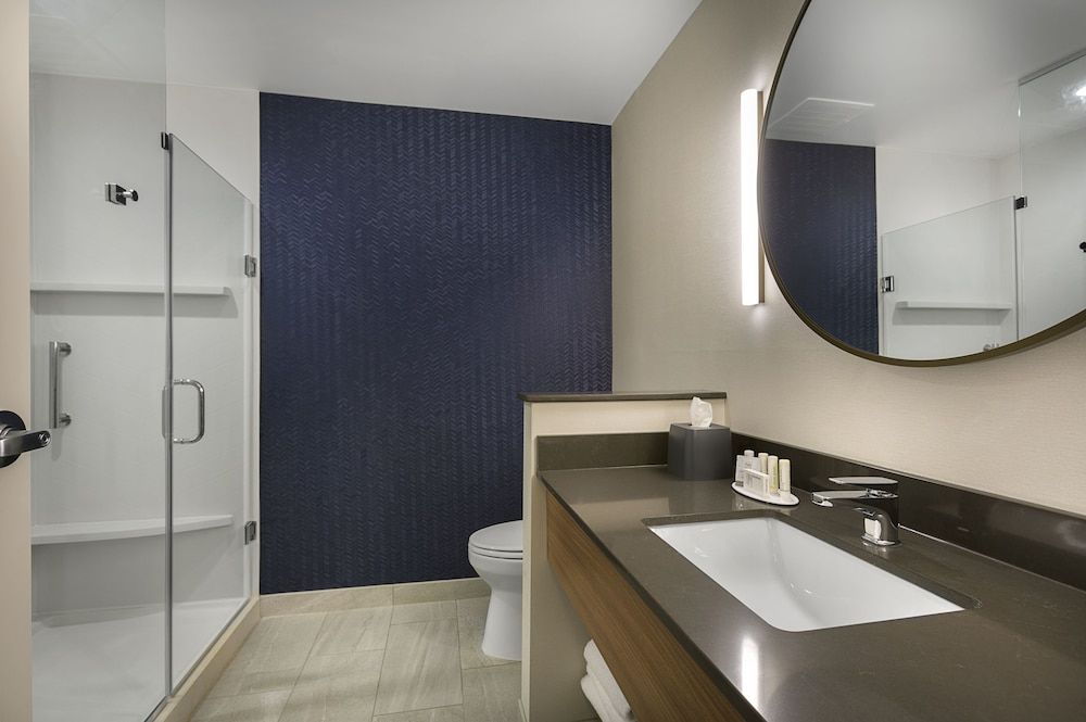 Suite, 1 King Bed with Sofa bed, Non Smoking (Mobility Accessible, Tub)