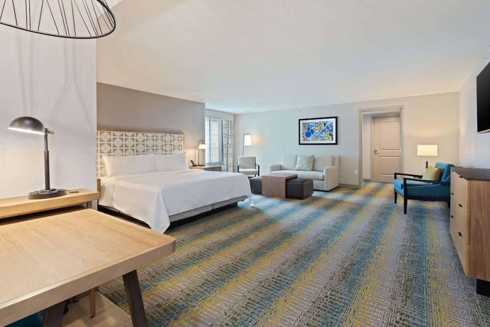 Studio, 1 King Bed, Accessible (Mobility & Hearing, Roll-in Shower)