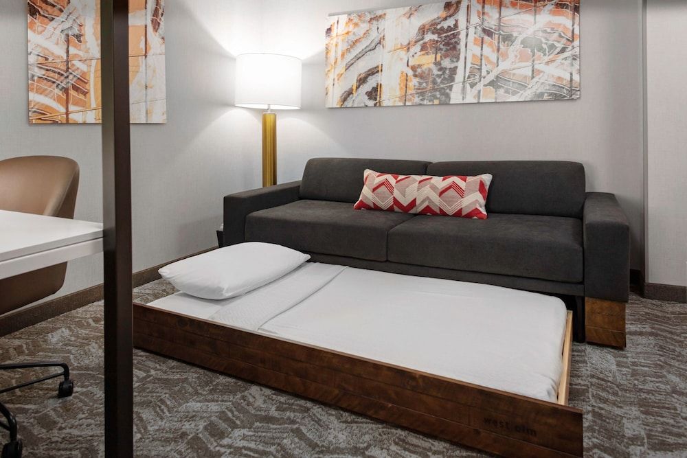 Suite, 1 King Bed (Mobility/Hearing Access, Roll-In Shwr)