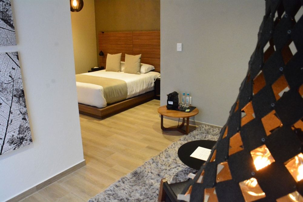 Ilo Rojo Hotel Boutique San Miguel de Allende Standard Room 2