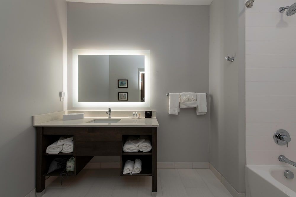 Suite, 1 King Bed, Accessible, Non Smoking (Roll in Shower)