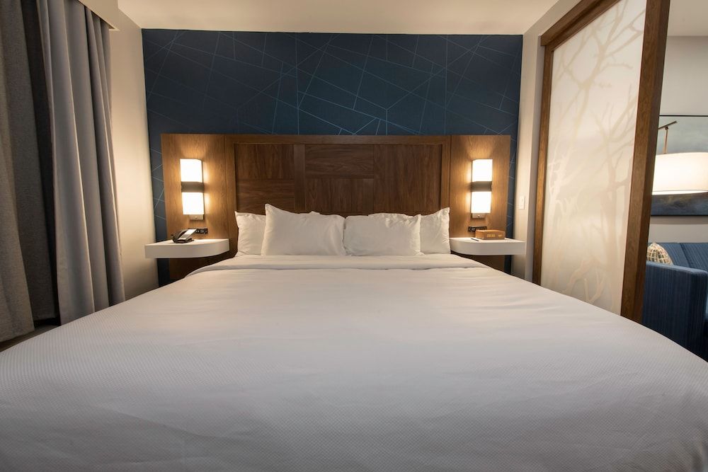 Suite, 1 King Bed, Accessible, Non Smoking (Efficiency, Bathtub)