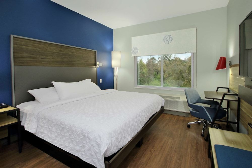 Room, 1 King Bed