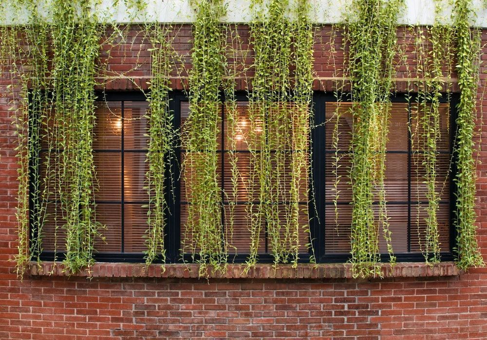 undefined Rumanami Residence 9