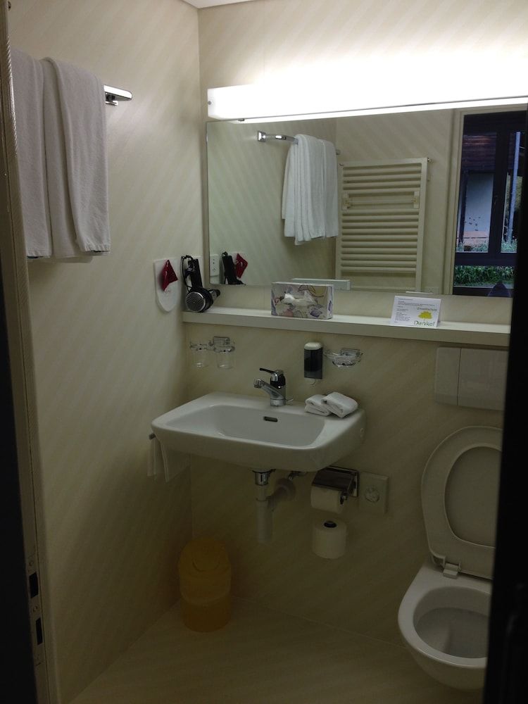 Hotel Bellevue - Traditional Swiss Hideaway Double Room 13