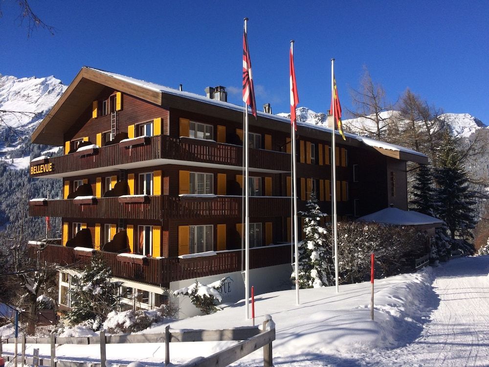 undefined Hotel Bellevue - Traditional Swiss Hideaway 6