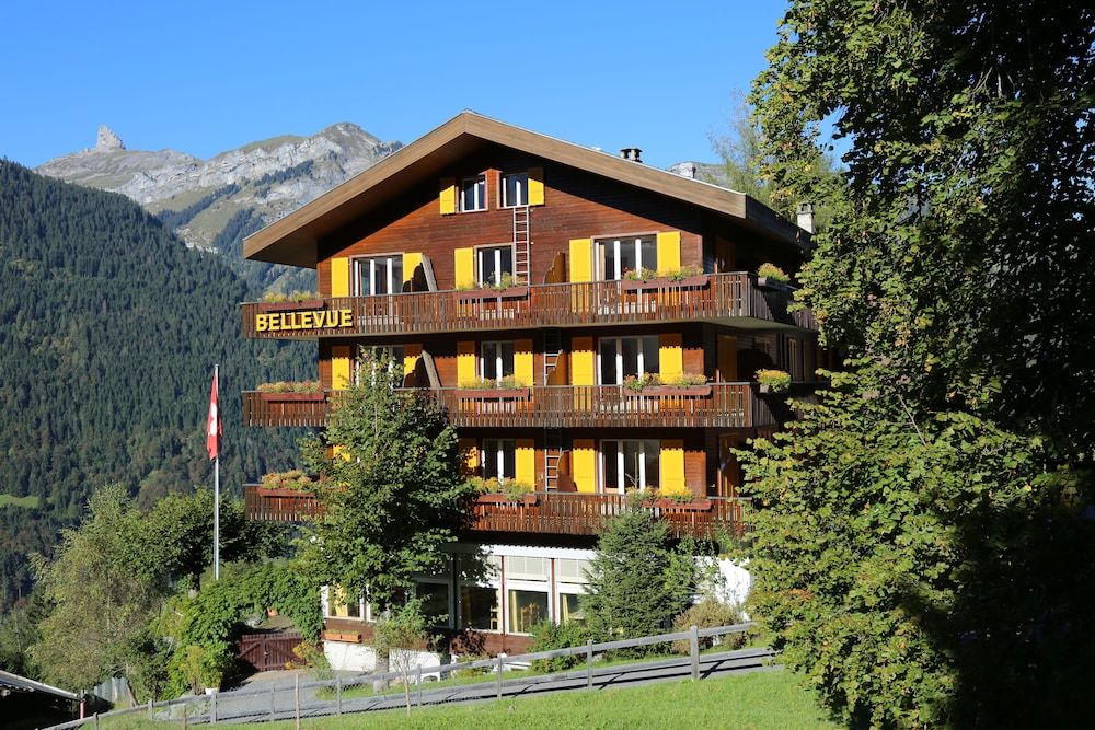 undefined Hotel Bellevue - Traditional Swiss Hideaway 7