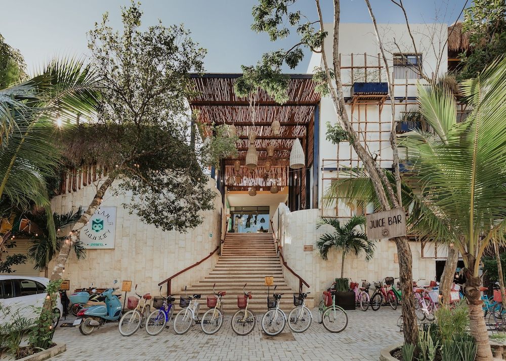 Mayan Monkey Tulum | Social Hotel